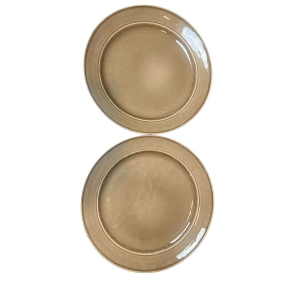 2 POTTERY BARN CAMBRIA MUSHROOM DINNER PLATES PORTUGAL 11 1/2” MINT - Picture 1 of 7